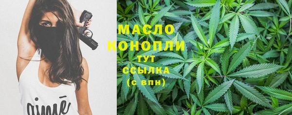 гидра Нязепетровск