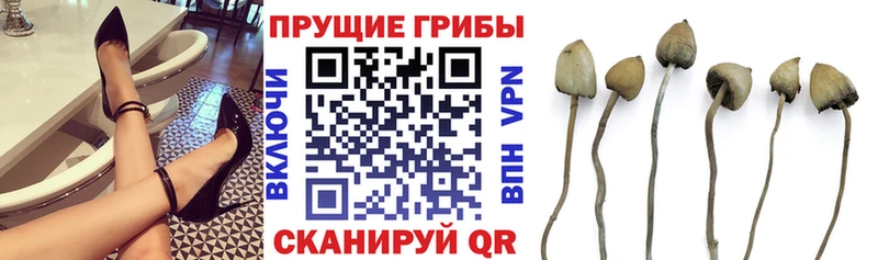 Псилоцибиновые грибы GOLDEN TEACHER  Скопин 