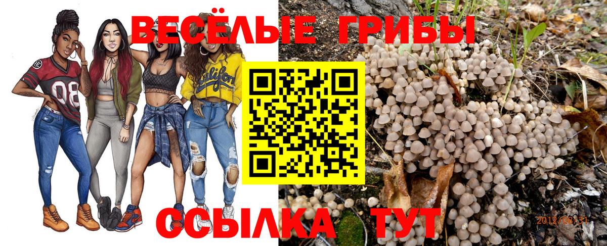 Галлюциногенные грибы мицелий  Вход с VPN  Скопин  Галлюциногенные грибы Cubensis 